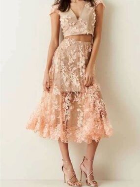 Dress the Population Blush Embroidered V-Neck Crop Top